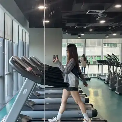 龙飞致